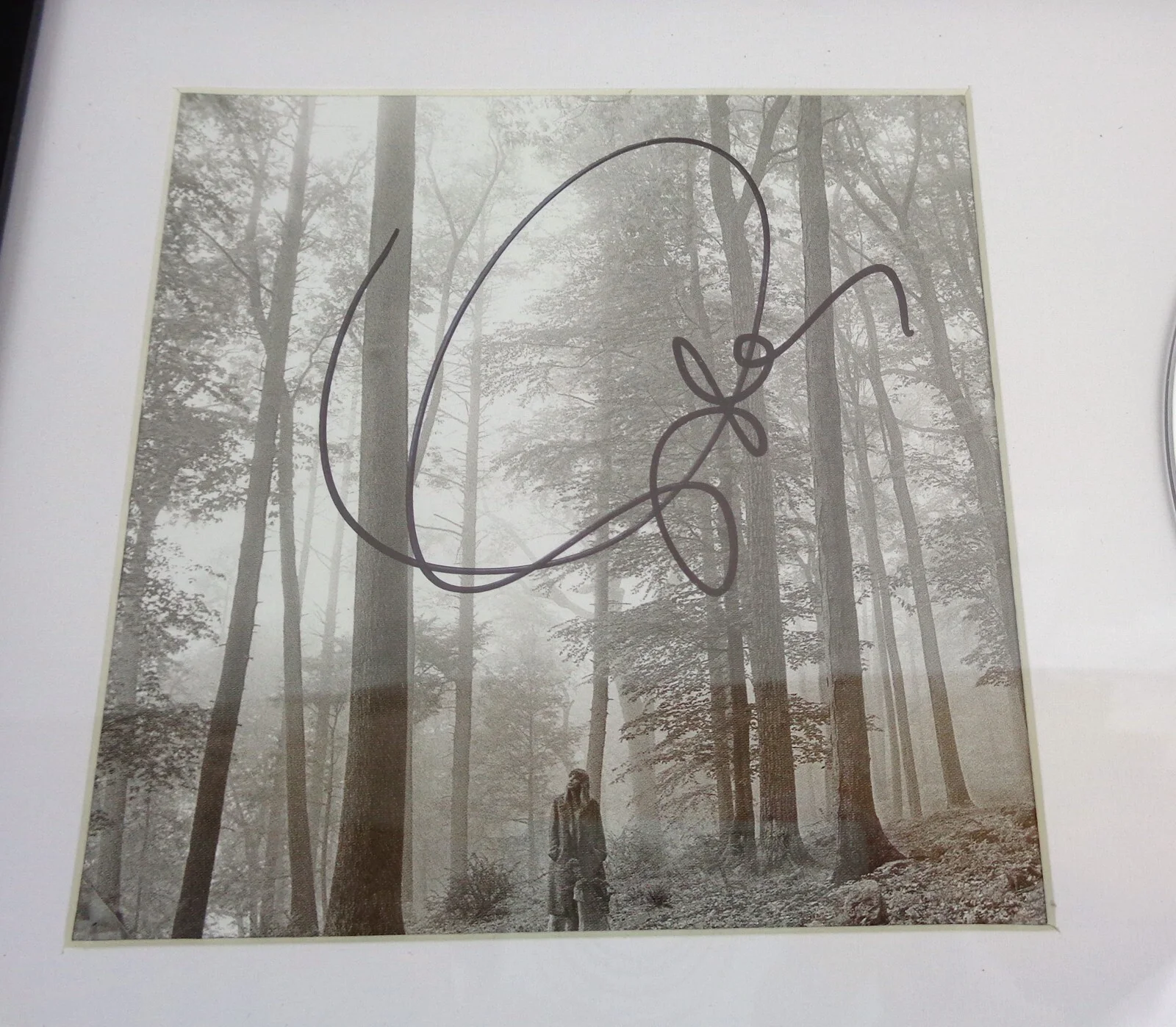 Taylor Swift — Taylor Swift Cardigan Signed Autograph Folklore CD Framed PSA/DNA COA E, image 2