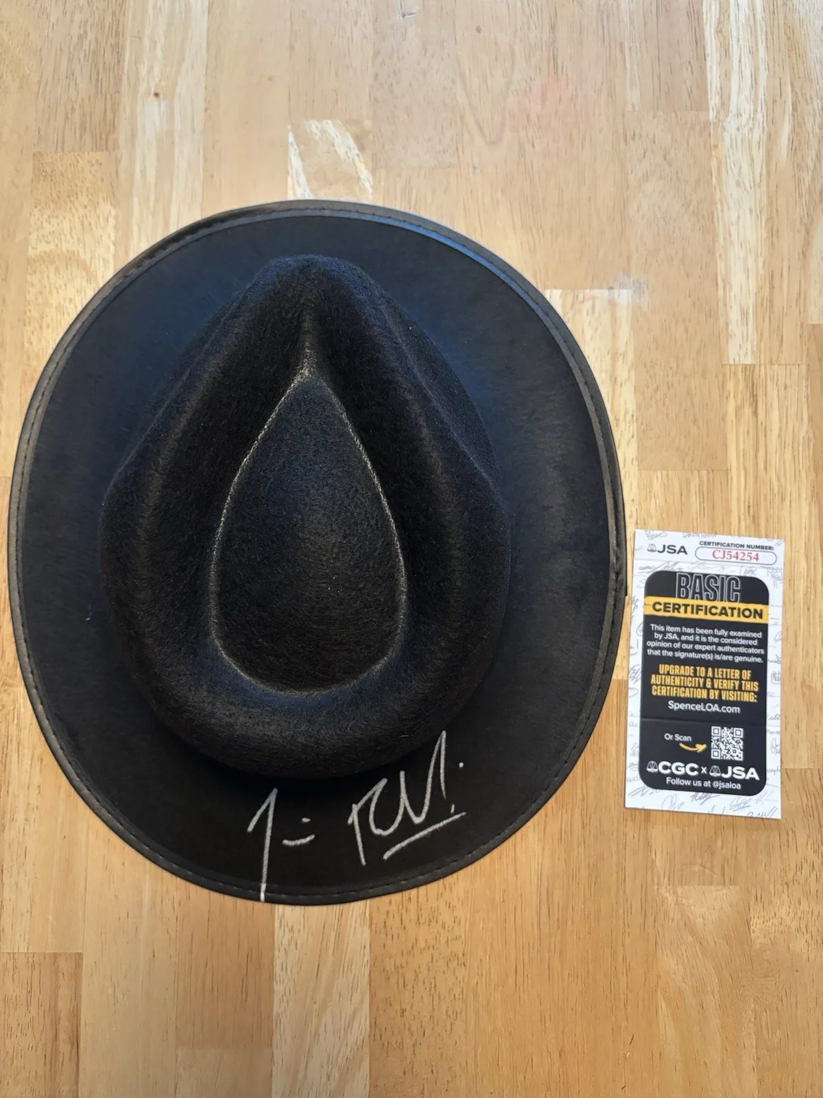 Jim Belushi — JIM JAMES BELUSHI SIGNED AUTOGRAPHED BLUES BROTHERS FEDORA HAT JSA COA RARE!