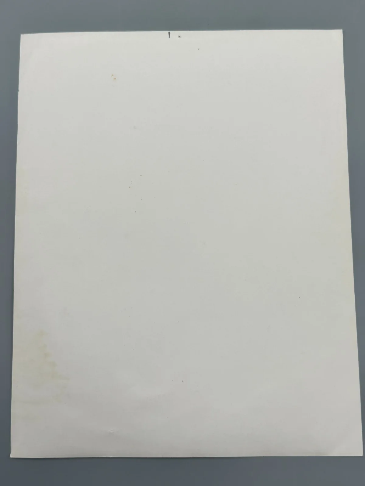 Carol Burnett SIGNED Cast B&W Photo 8" x 10" with Tim Conway & Vicki Lawrence!, изображение 3