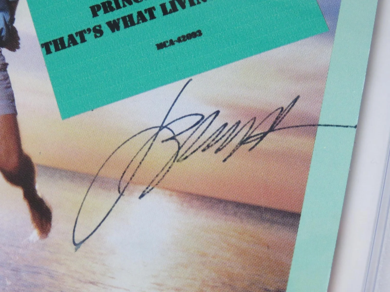 JIMMY BUFFETT Signed Autograph Auto "Floridays" CD Slab PSA JSA, image 2