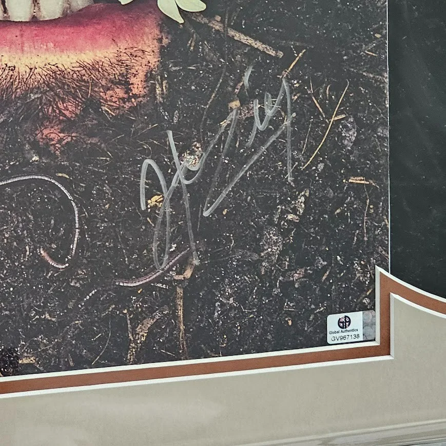 Hozier SIGNED Autographed Unreal Unearth VINYL LP Record COA, image 2