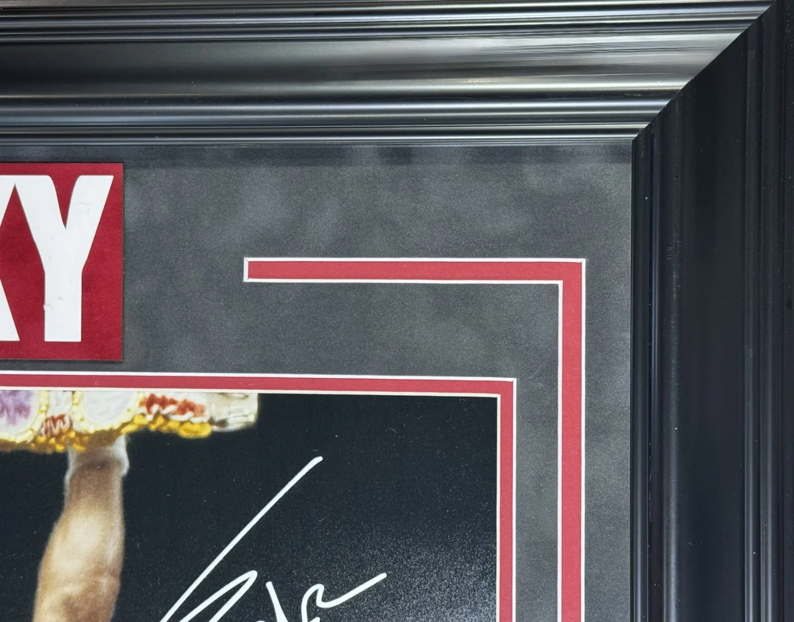 Sylvester Stallone — Sylvester Stallone Signed Rocky 16x20 Framed Photo Celebration Auto ASI COA, изображение 5