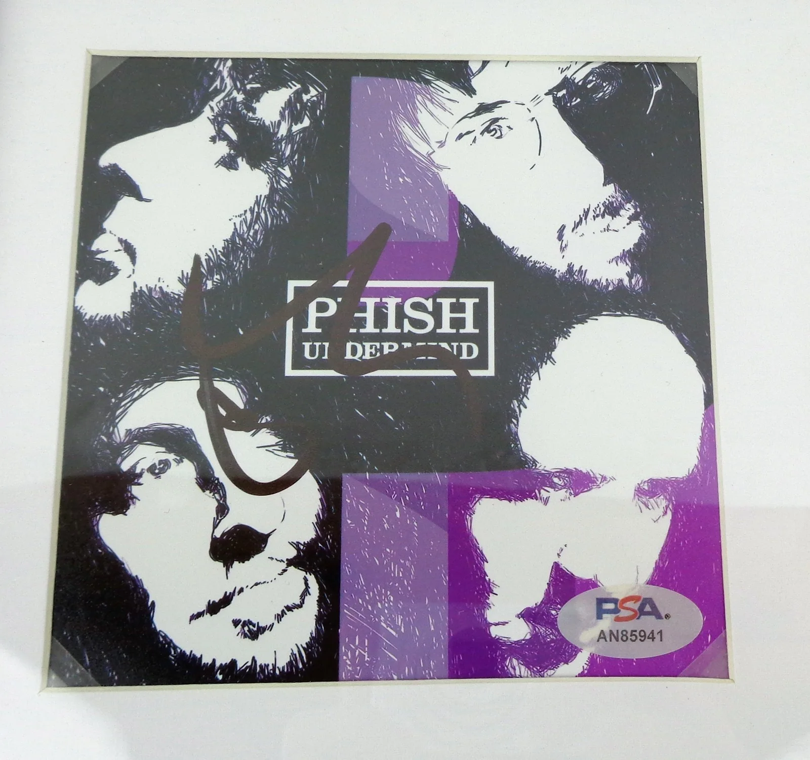 Trey Anastasio — Trey Anastasio Phish Band Signed Autograph Undermind CD Framed PSA/DNA COA, image 2