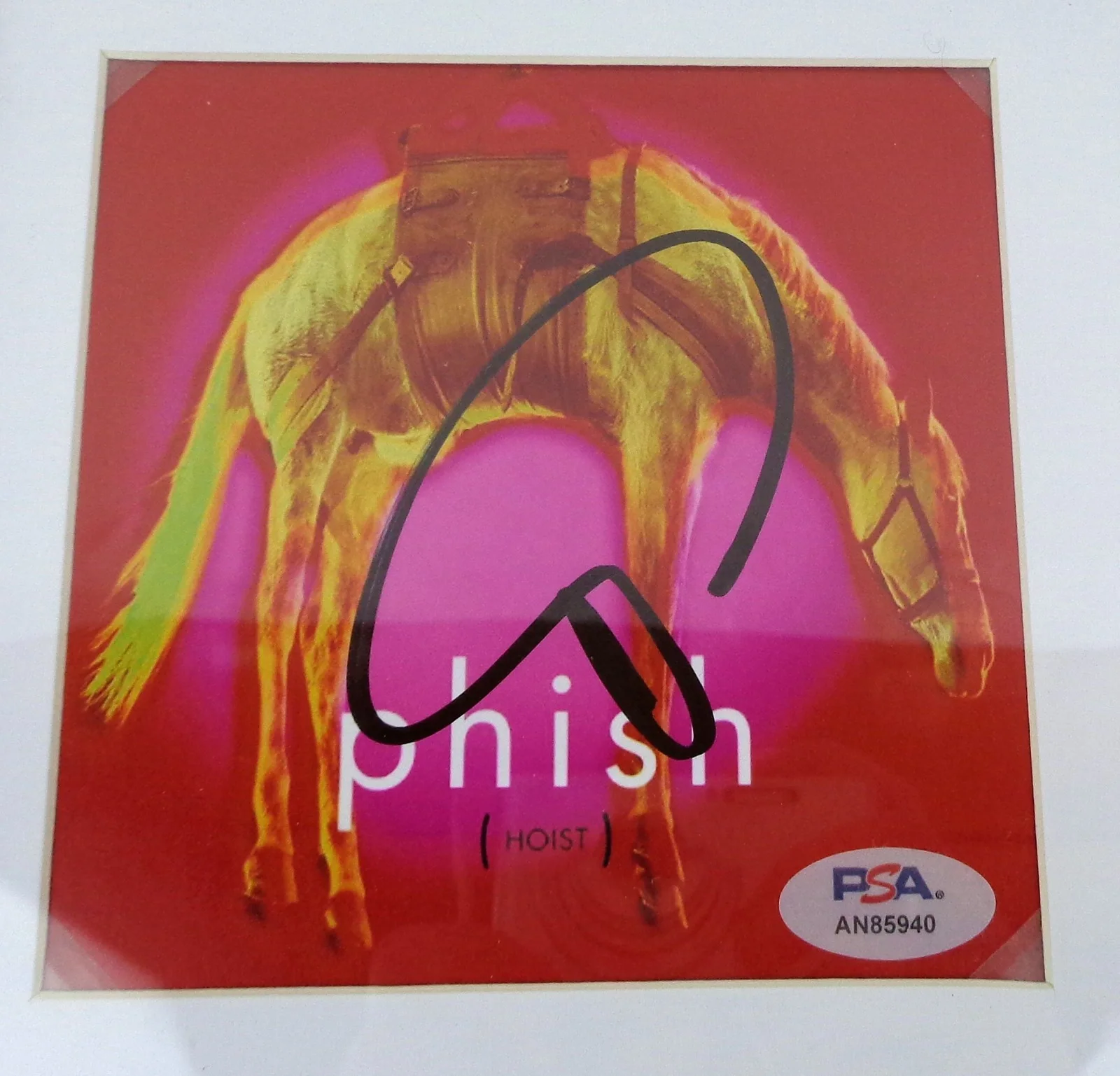 Trey Anastasio — Trey Anastasio Phish Band Signed Autograph Hoist CD Framed PSA/DNA COA, image 2