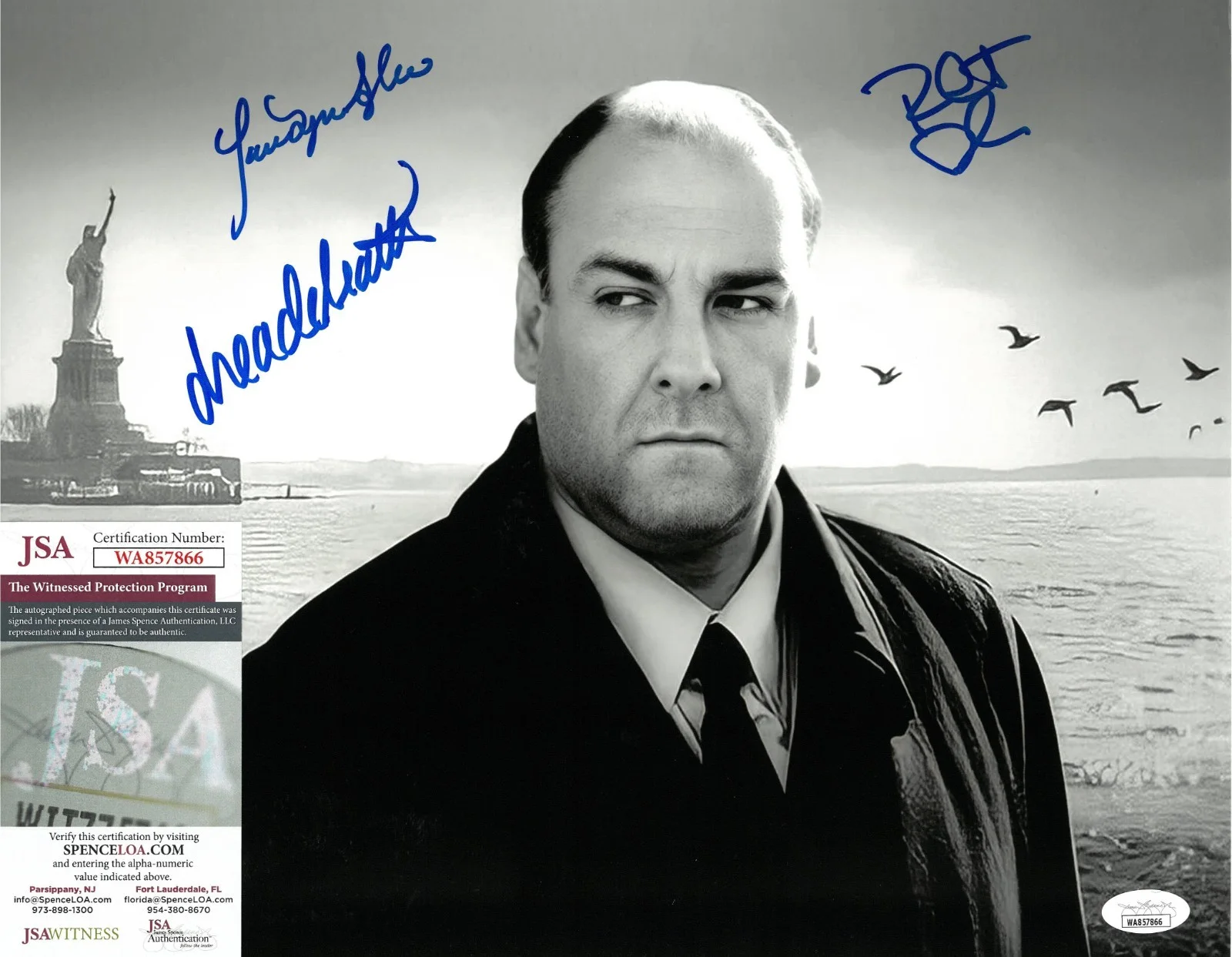 Jamie-Lynn Sigler — Jamie Lynn Sigler de Matteo Iler x3 Signed 11x14 Photo Autographed JSA Sopranos, изображение 2