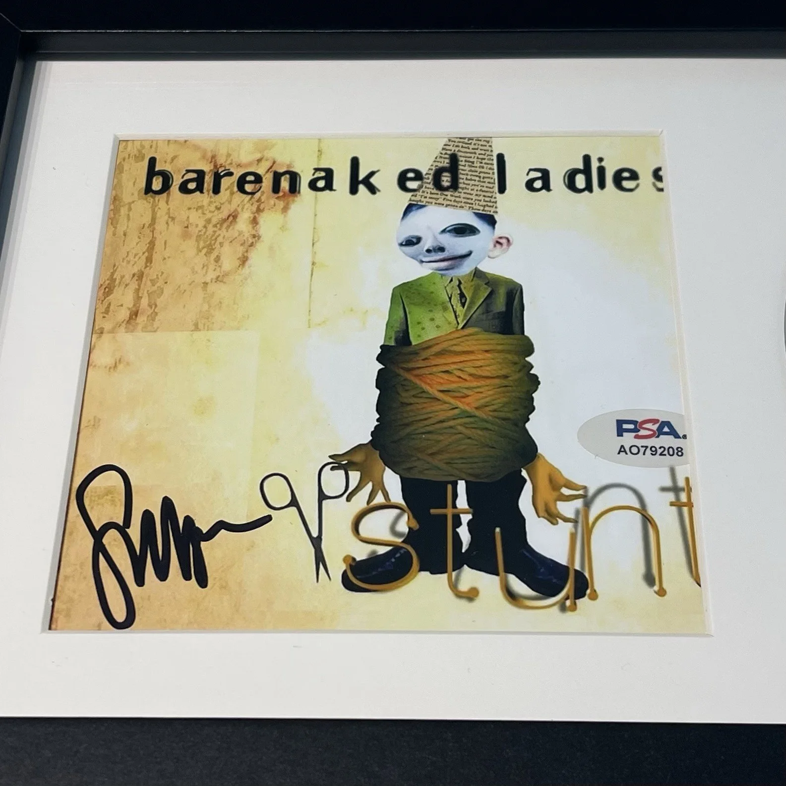 STEVEN PAGE SIGNED BARENAKED LADIES STUNT CD ALBUM AUTOGRAPH FRAMED PSA COA, изображение 2