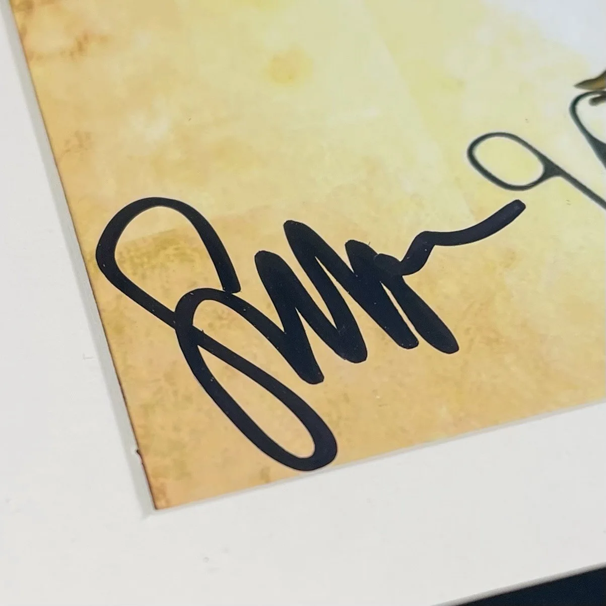 STEVEN PAGE SIGNED BARENAKED LADIES STUNT CD ALBUM AUTOGRAPH FRAMED PSA COA, изображение 3