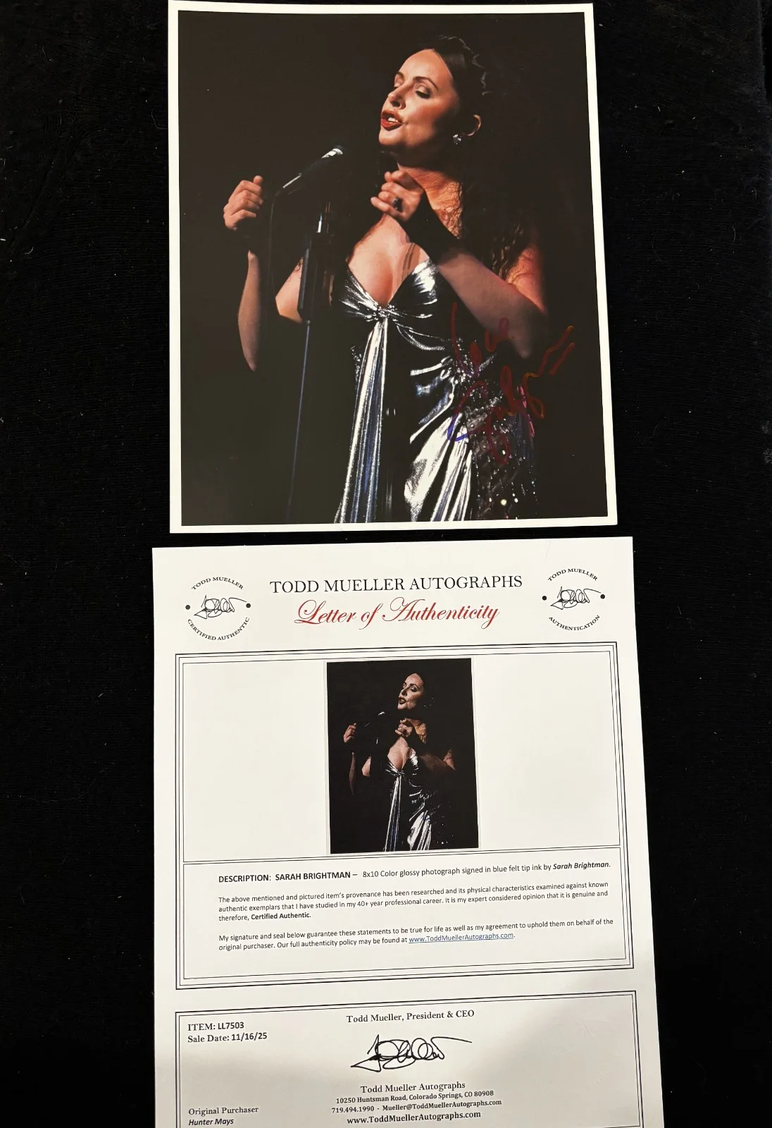 Stunning Sara Brightman Signed 8x10 Color Photo "Phantom of The Opera" COA, image 3