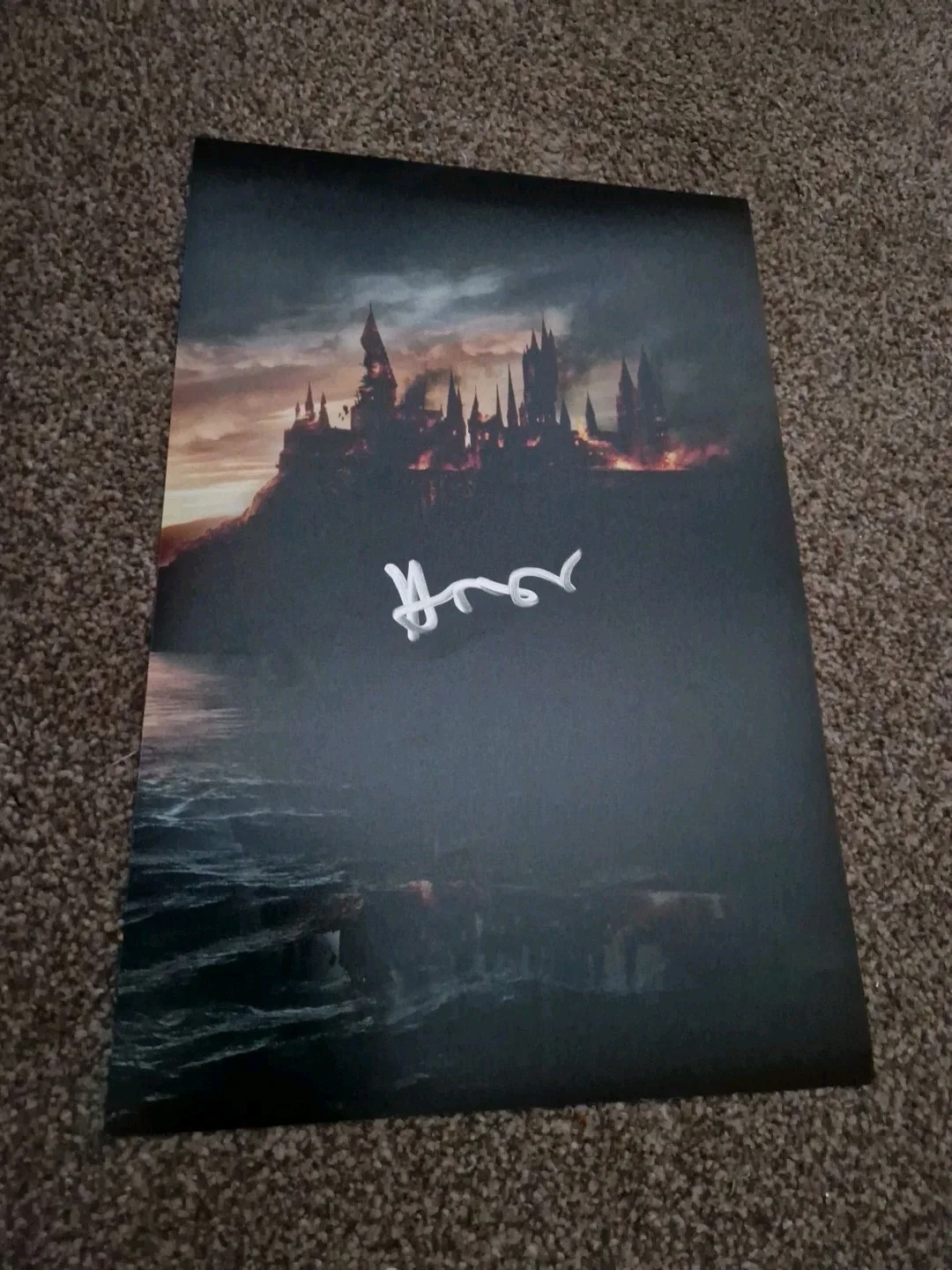 Hero Fiennes Tiffin Signed 12x8 Harry Potter Photo, Film *PHOTO PROOF + COA*, изображение 2