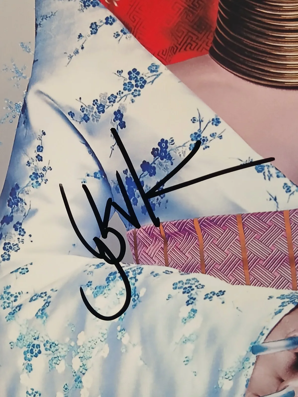 Bjork, Music Artist Iceland , Signed Autographed 10x8 Photo, Coa, image 2
