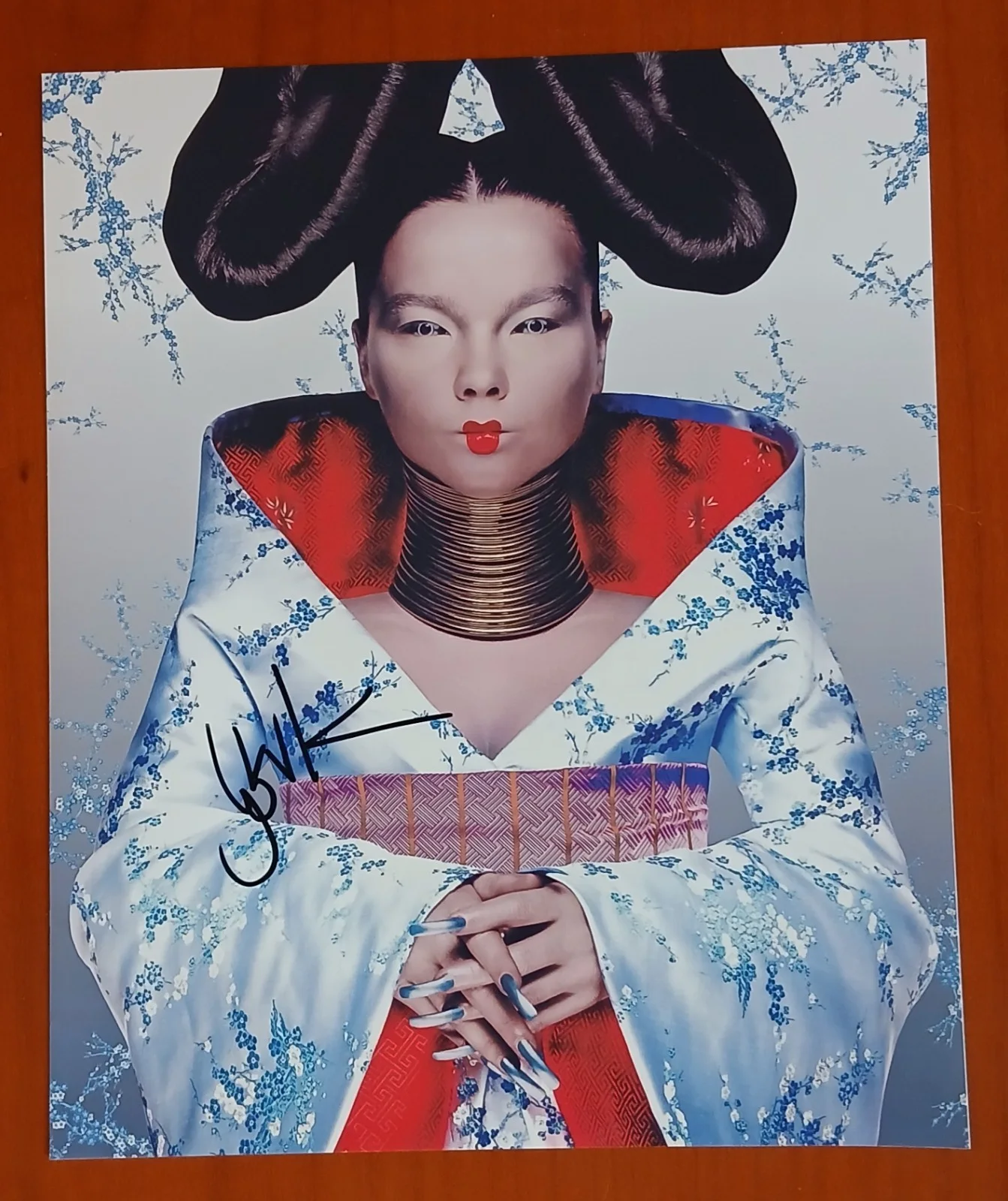 Bjork, Music Artist Iceland , Signed Autographed 10x8 Photo, Coa, image 3