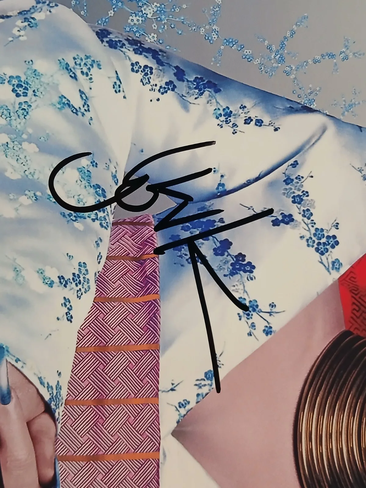 Bjork, Music Artist Iceland , Signed Autographed 10x8 Photo, Coa, image 4