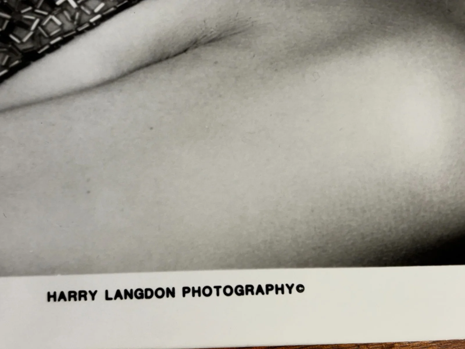 Loni Anderson — Loni Anderson Signed 8x10 Photo - WKRP in Cincinnati BABE - GORGEOUS! + COA, image 4