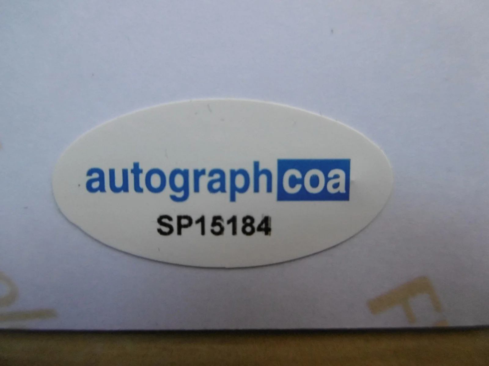 Coheed and Cambria Band full signed 8x12 inch photo autographs ACOA, изображение 3