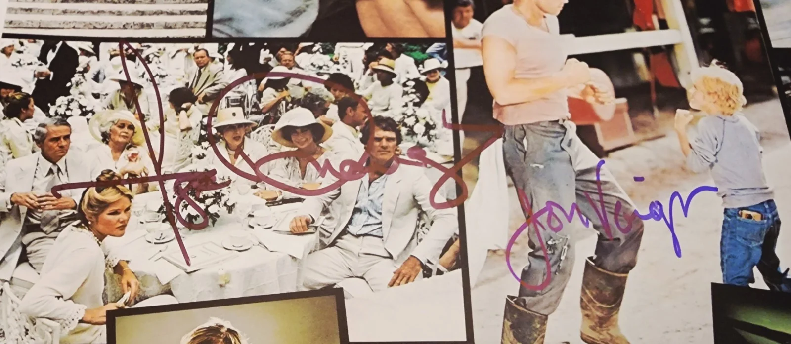 Faye Dunaway — Faye Dunaway & Jon Voight Signed The Champ 12x18 Movie Poster Boxing Rare JSA, изображение 2