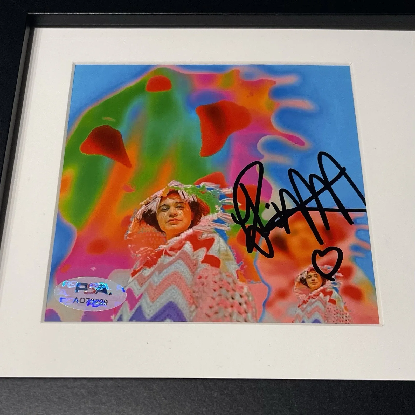 REMI WOLF SIGNED WE LOVE DOGS CD ALBUM AUTOGRAPH FRAMED BIG IDEAS SINGER PSA COA, image 2
