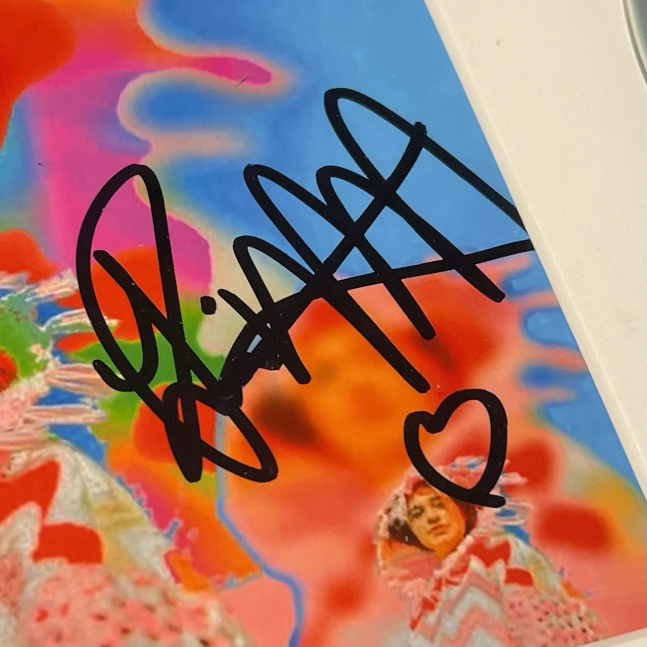 REMI WOLF SIGNED WE LOVE DOGS CD ALBUM AUTOGRAPH FRAMED BIG IDEAS SINGER PSA COA, image 3