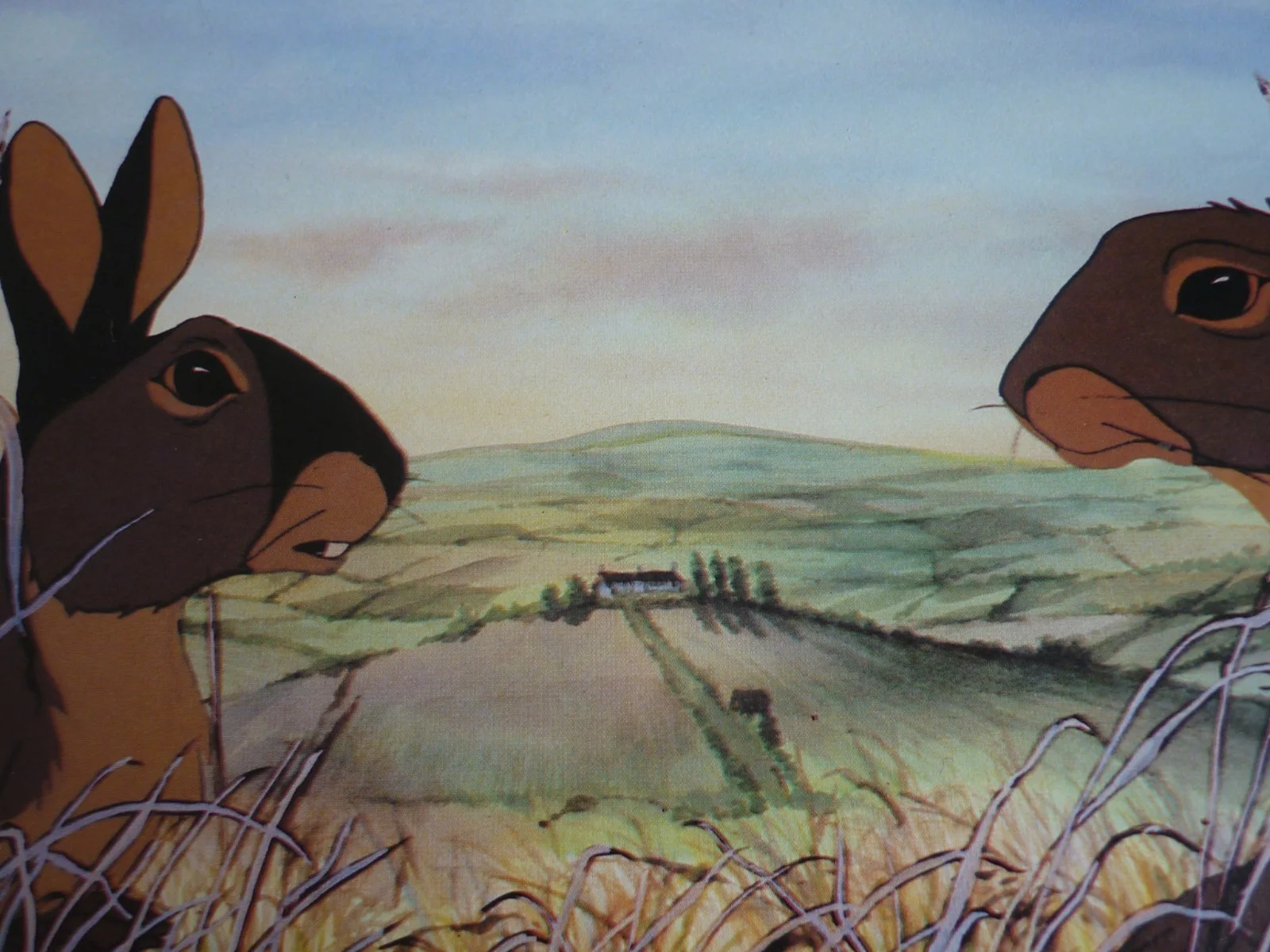 Watership Down framed a4 Richard Adams 1978 Movie scenes rabbits meet, image 2