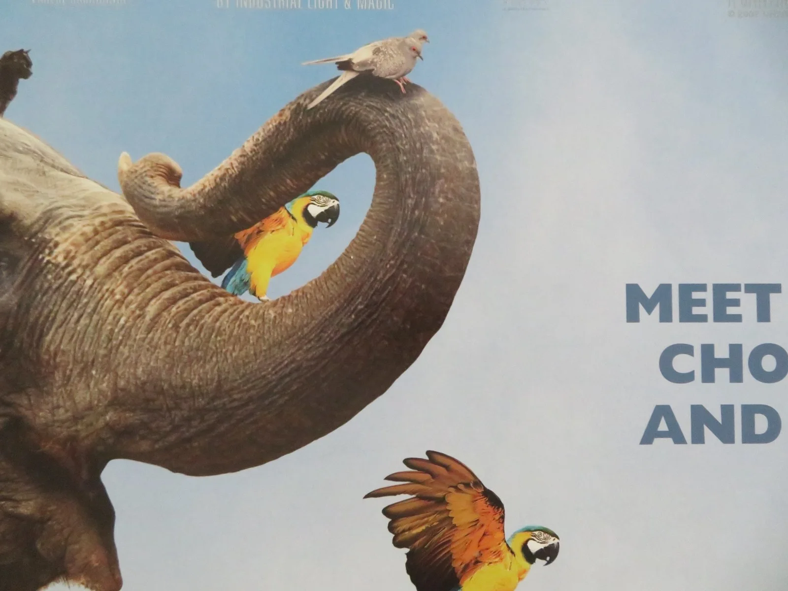 EVAN ALMIGHTY UK QUAD ROLLED POSTER STEVE CARELL MORGAN FREEMAN 2007, image 2