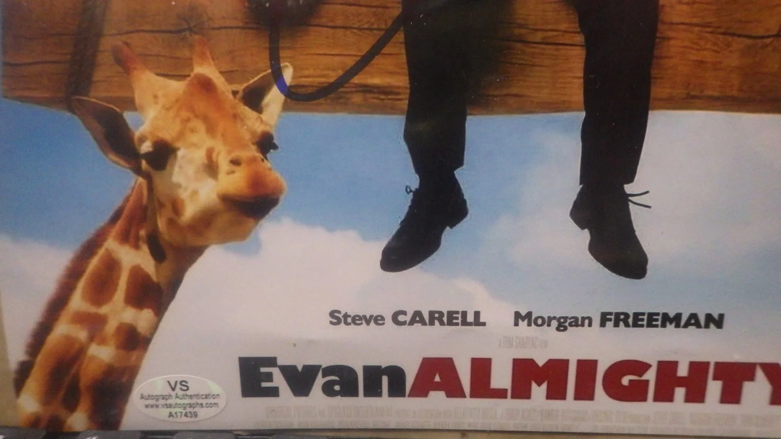 STEVE CARELL — STEVE CARELL HAND SIGNED AUTOGRAPHED 8X10 MINI MOVIE POSTER EVAN ALMIGHTY W/ COA, image 2