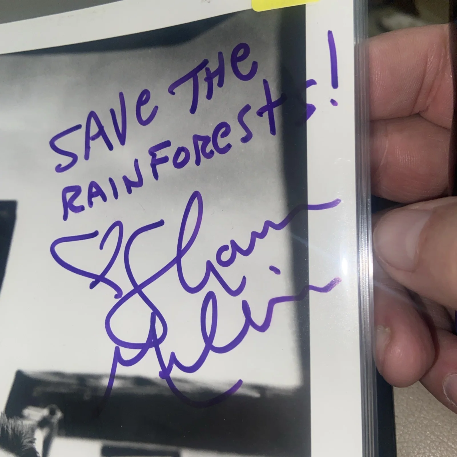 Shawn Mullins autographed b&w 8x10 - inscribed- lullaby, image 2
