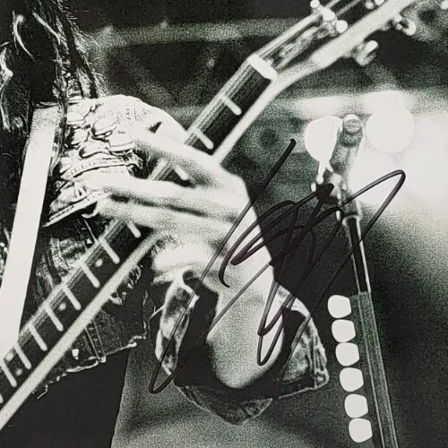 LZZY HALE HALESTORM ROCK LEAD SINGER SIGNED 8X10 PHOTO COA, image 2