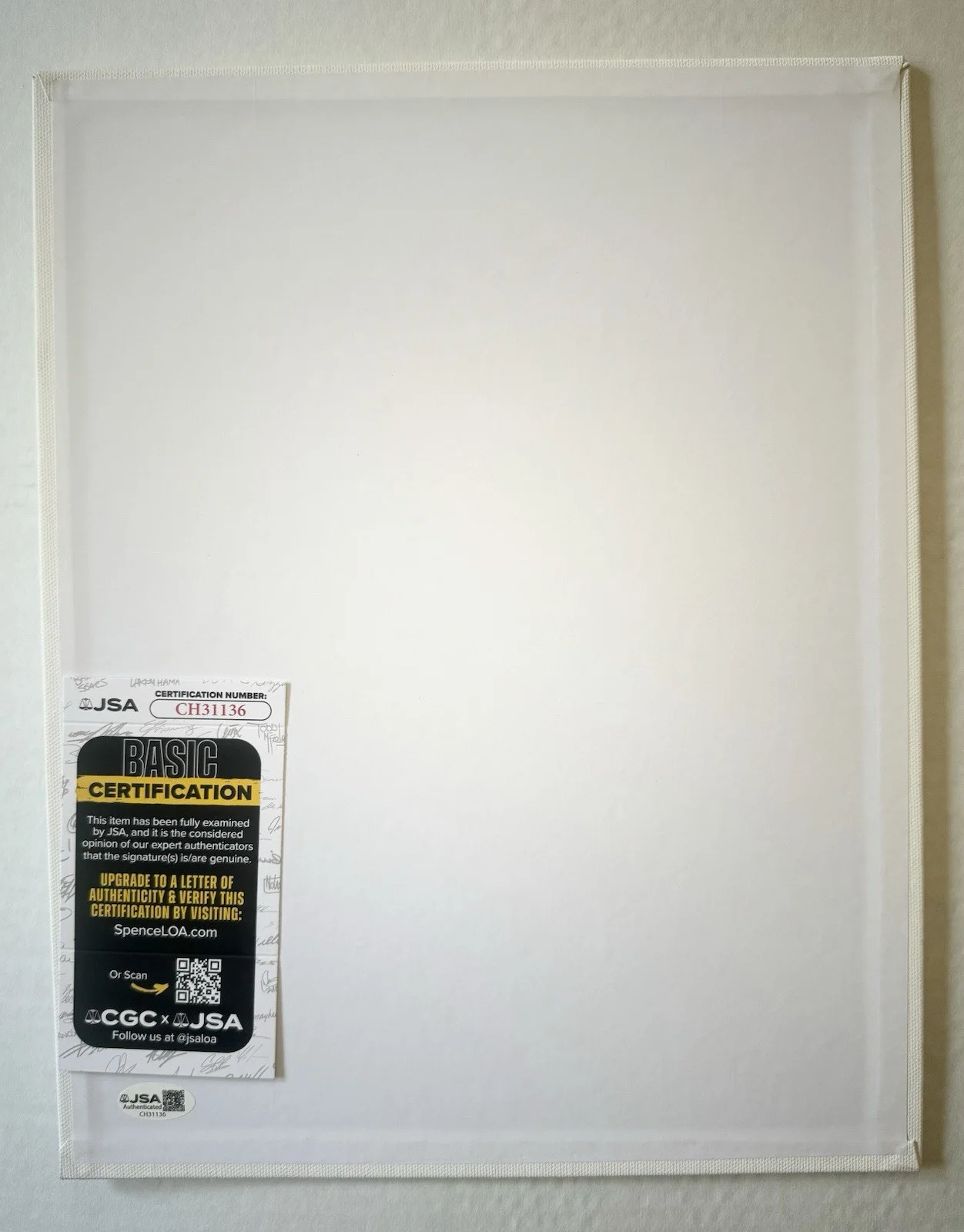 Pen Ward — Pendleton Pen Ward Signed 11X14 rare sketch board Finn&Jake Adventure Time JSA, изображение 2