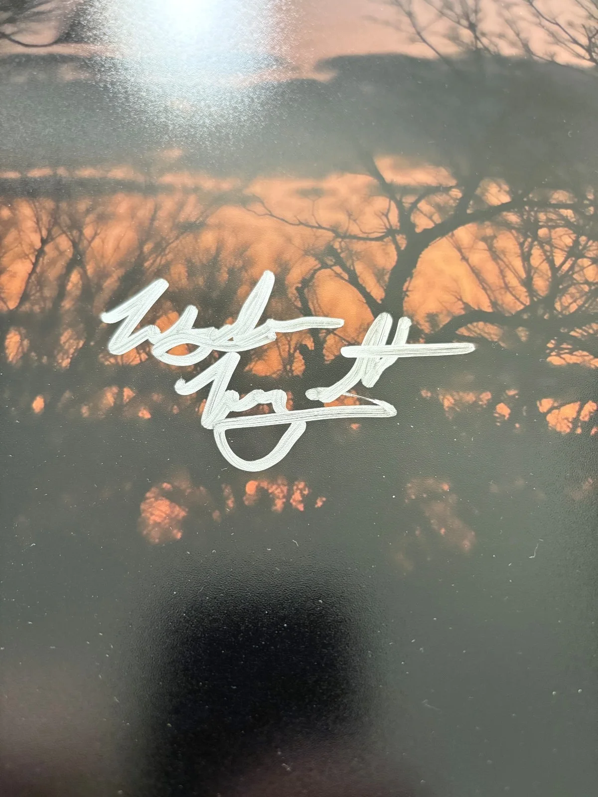 Waylon Wyatt signed photo 12X12 proof JSA COA autographed Arkansas Diamond, изображение 2