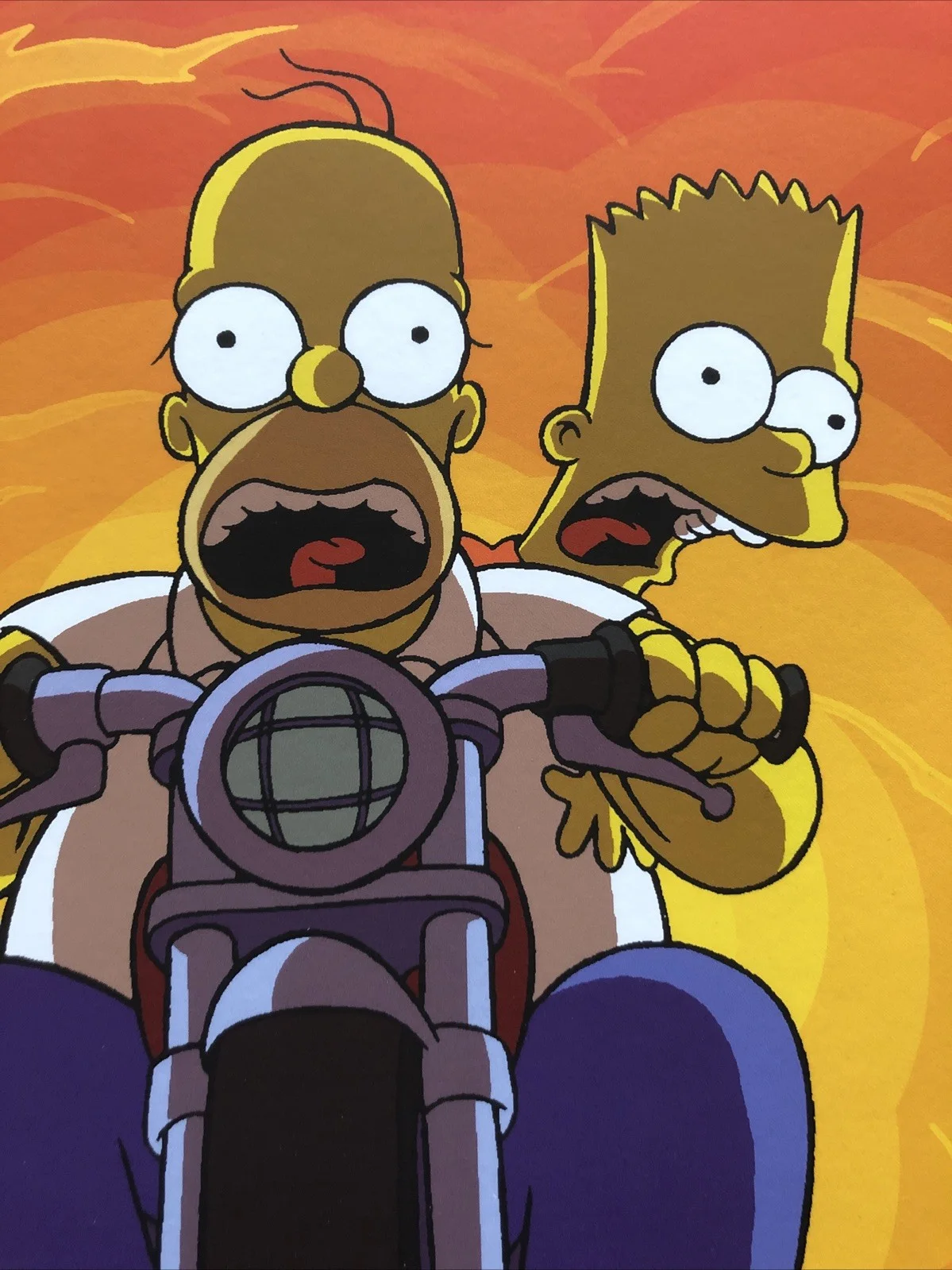 The Simpsons Movie Poster - Homer & Bart, image 3