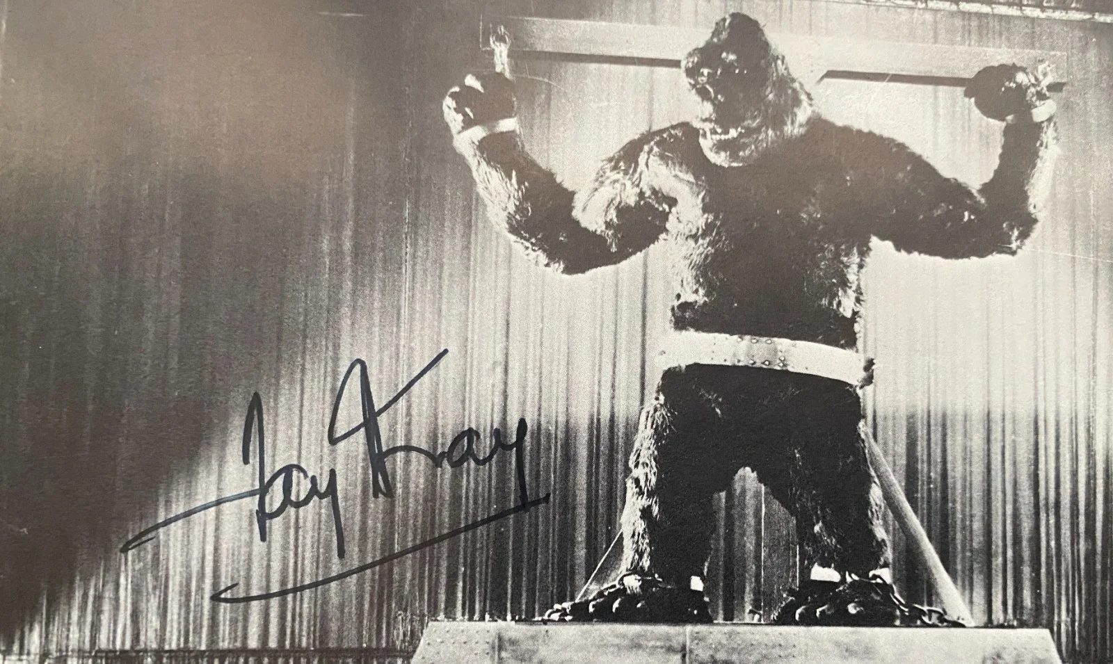 Fay Wray - King Cong Signed Photo - RARE, image 2