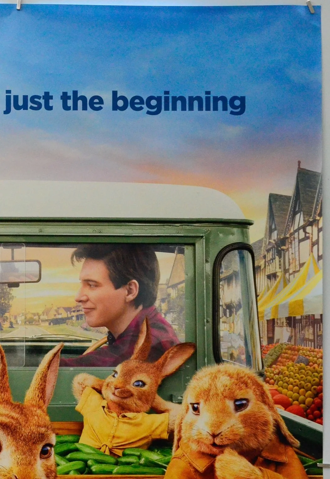 PETER RABBIT 2 (2020) Original Cinema One Sheet Poster (ADV) Domhnall Gleeson, изображение 3