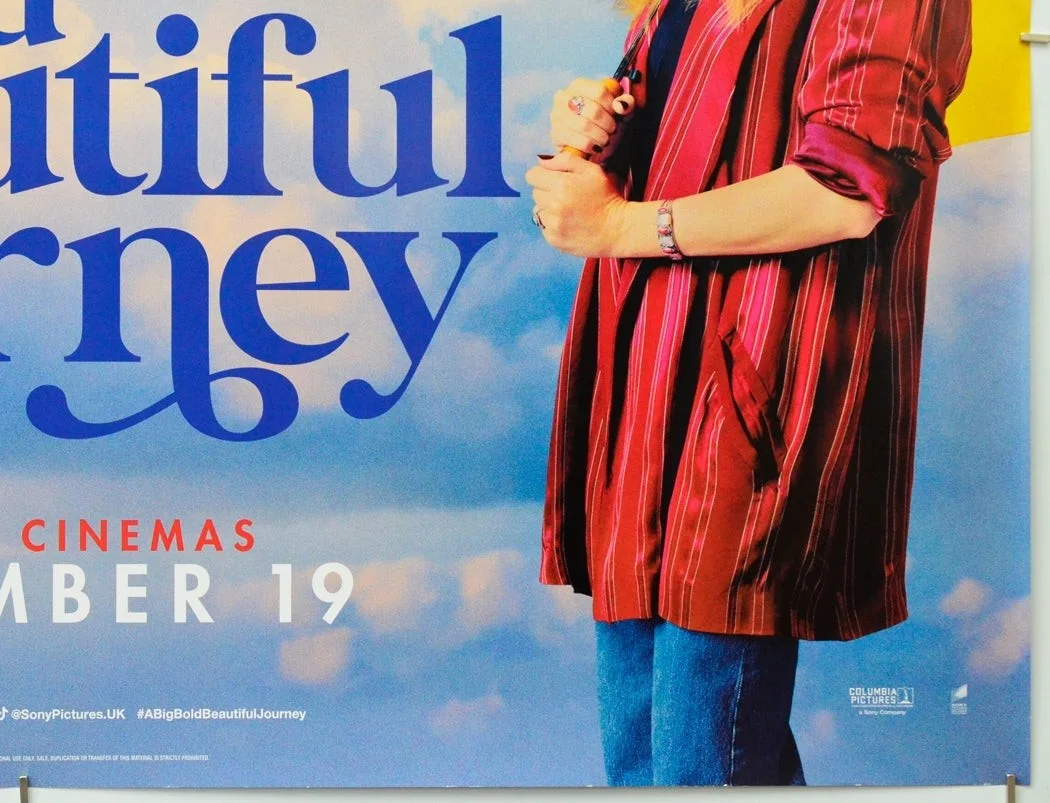 A BIG BOLD BEAUTIFUL JOURNEY (2025) Original Cinema Quad Poster - Margot Robbie, изображение 5