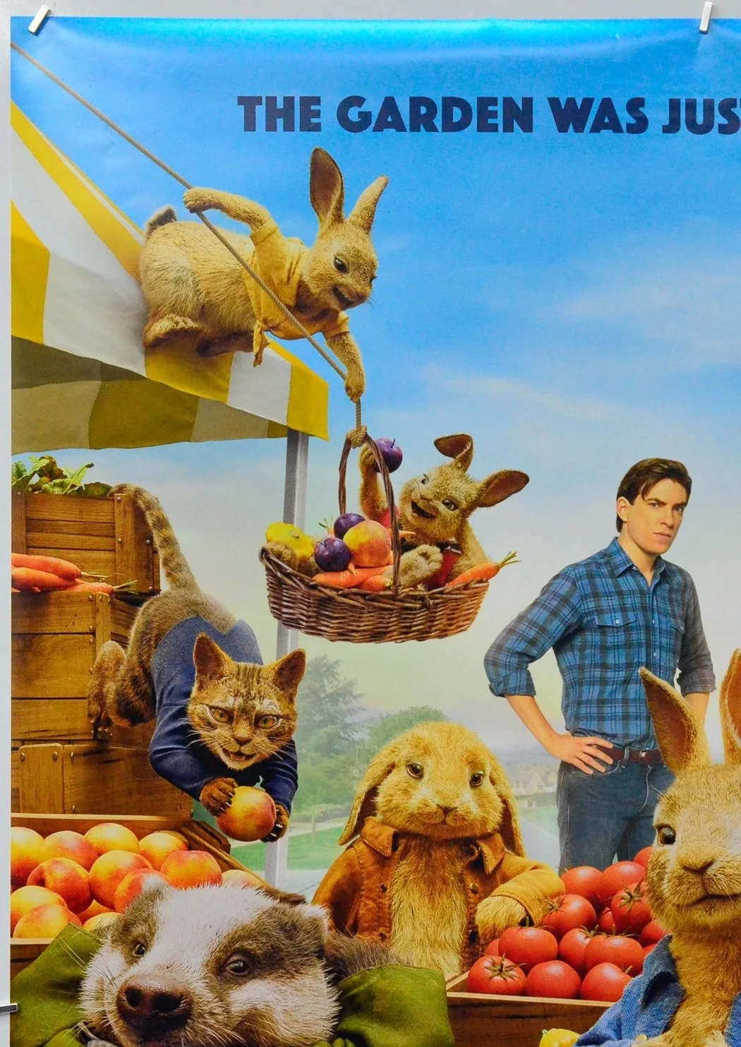 PETER RABBIT 2 (2020) Original Cinema One Sheet Movie Poster - Domhnall Gleeson, изображение 2