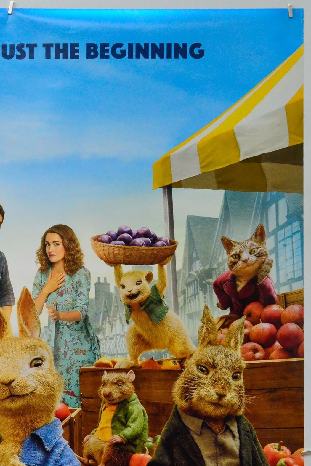 PETER RABBIT 2 (2020) Original Cinema One Sheet Movie Poster - Domhnall Gleeson, изображение 3