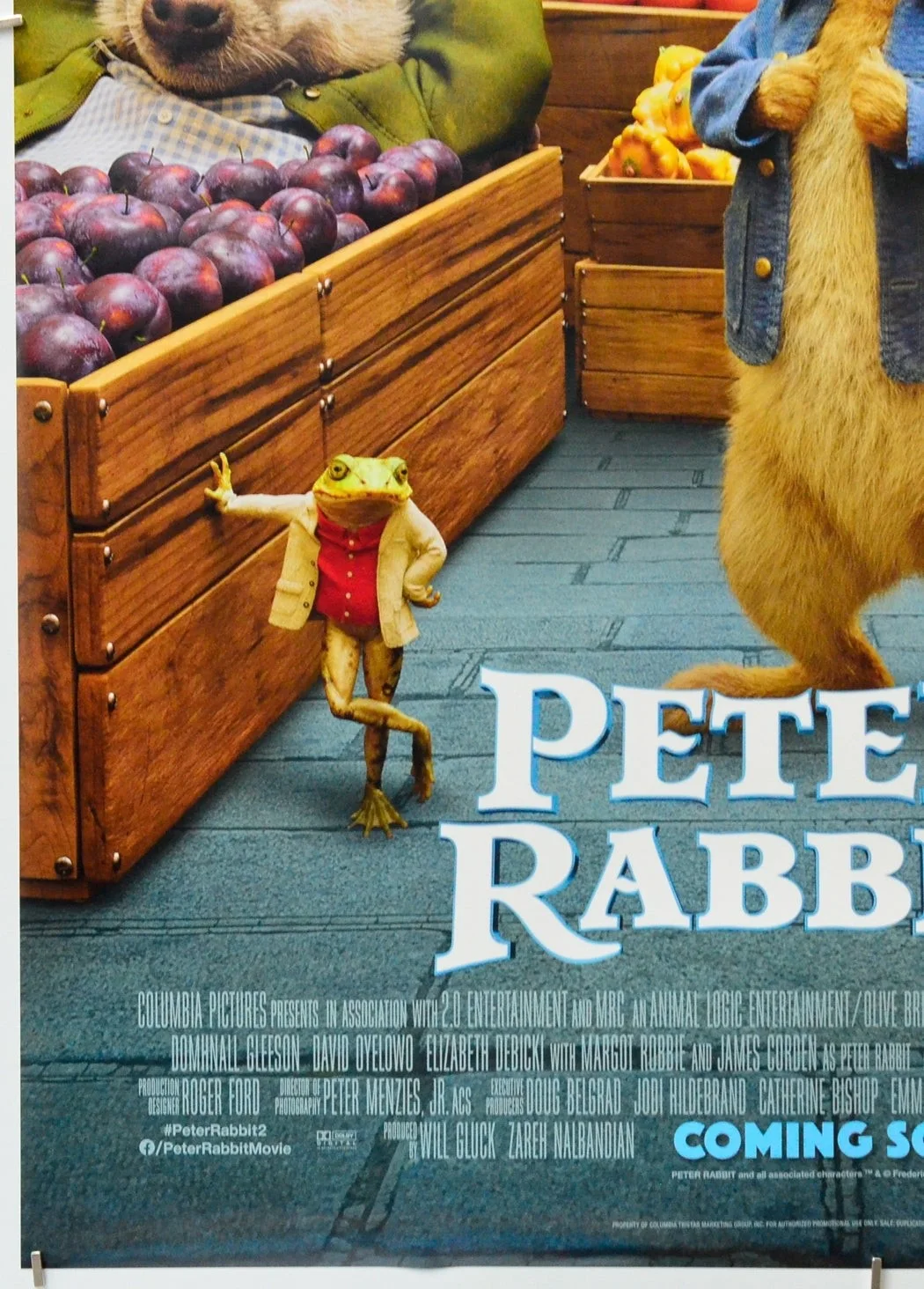 PETER RABBIT 2 (2020) Original Cinema One Sheet Movie Poster - Domhnall Gleeson, изображение 4