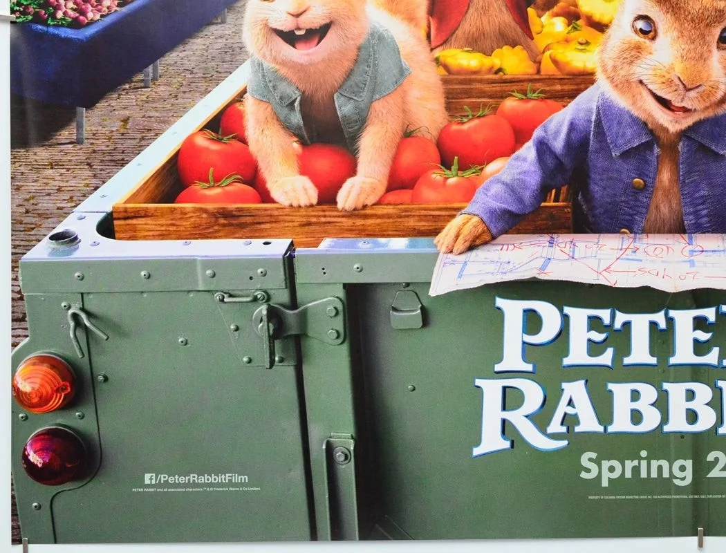 PETER RABBIT 2 (2020) Original Cinema Quad Film Poster (ADV) Domhnall Gleeson, изображение 4