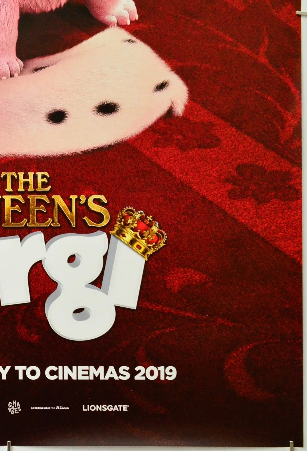 THE QUEEN’S CORGI (2018) Original Cinema One Sheet Film Poster - Jack Whitehall, изображение 5