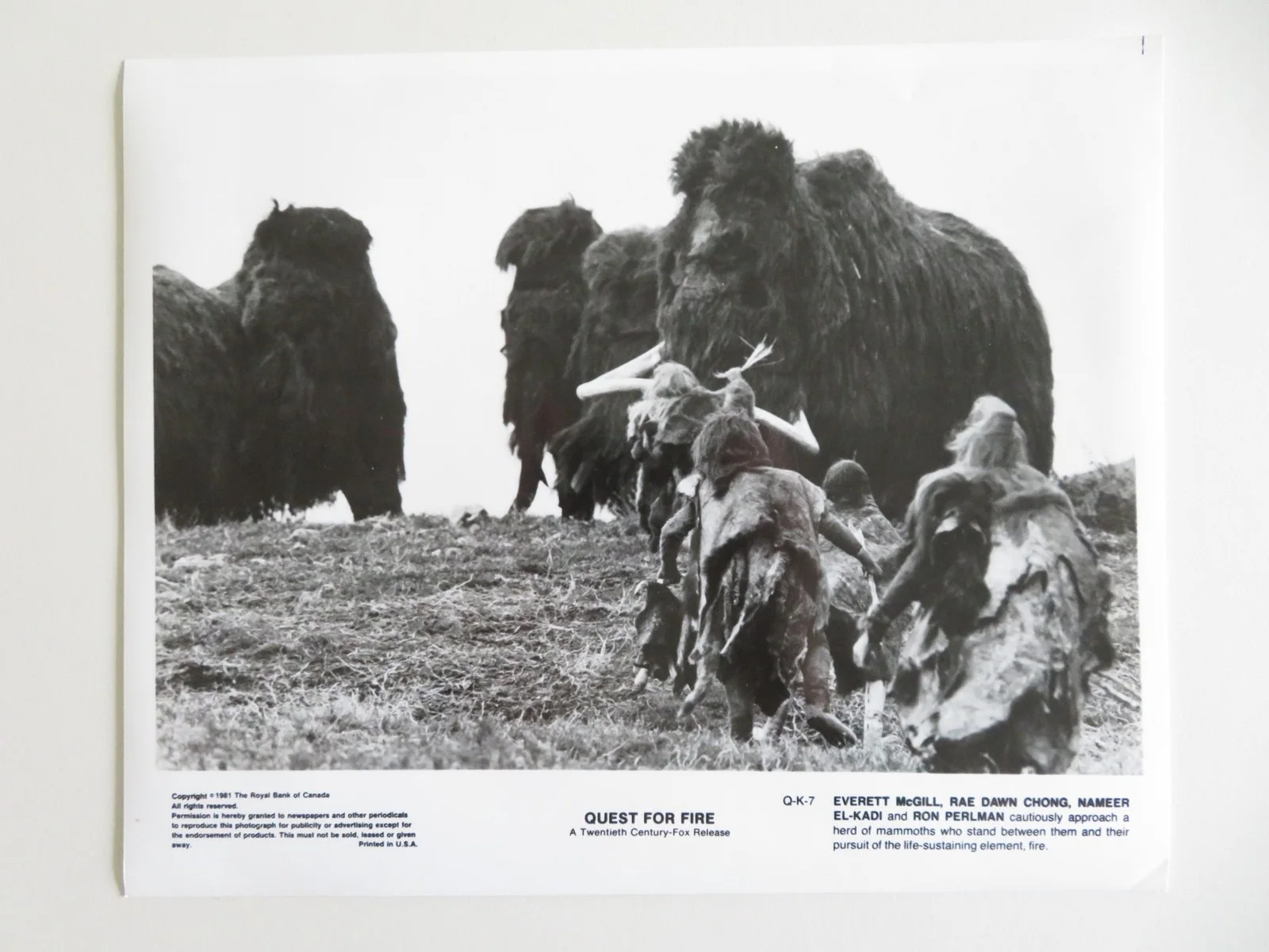 QUEST FOR FIRE MOVIE STILL PHOTO LOT OF 7 EVERETT MCGILL RON PERLMAN 1981, изображение 5