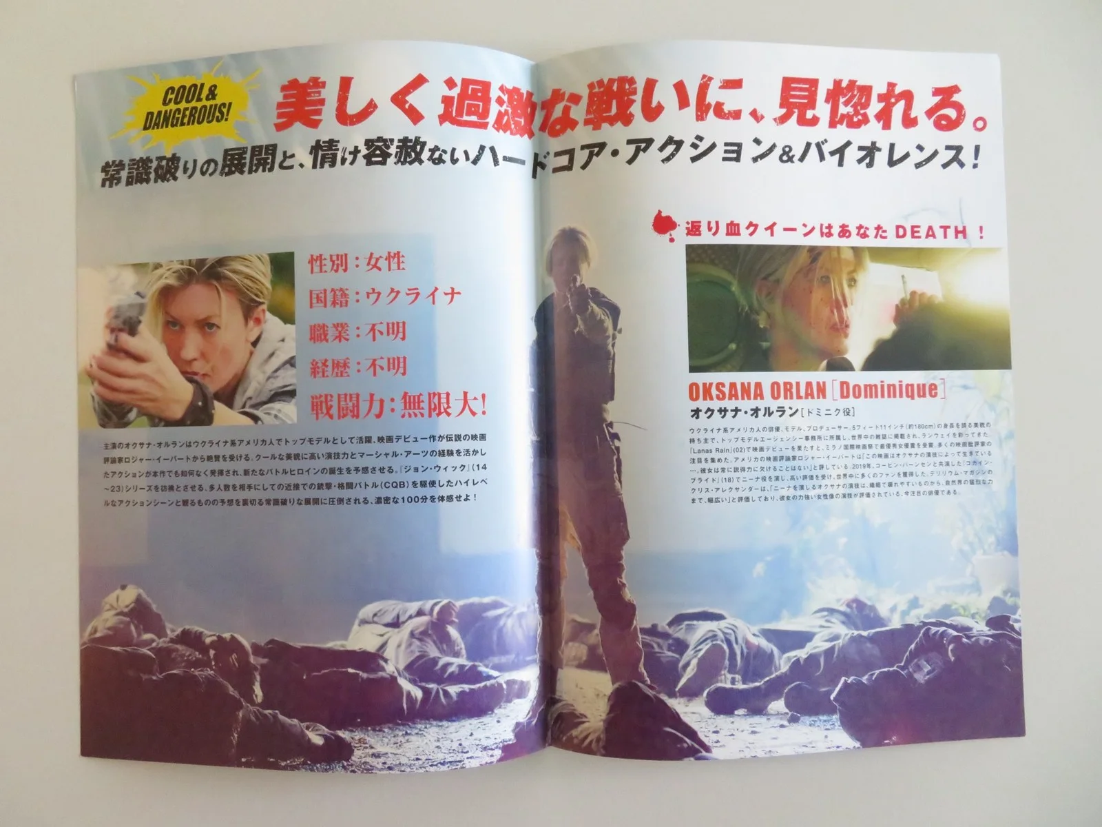 DOMINIQUE JAPANESE CHIRASHI (B5) POSTER OKSANA ORLAN MAURICE COMPTE 2024, image 2