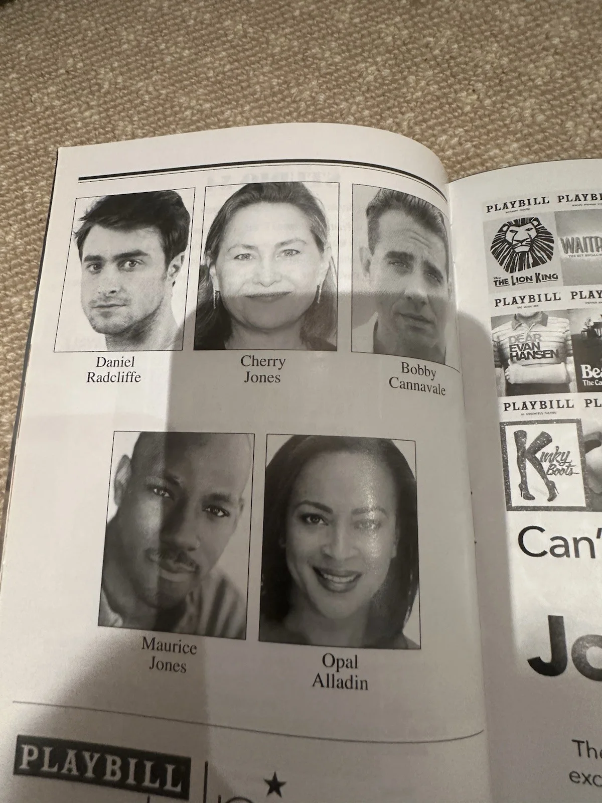The Lifespan Of A Fact Signed Playbill, image 2