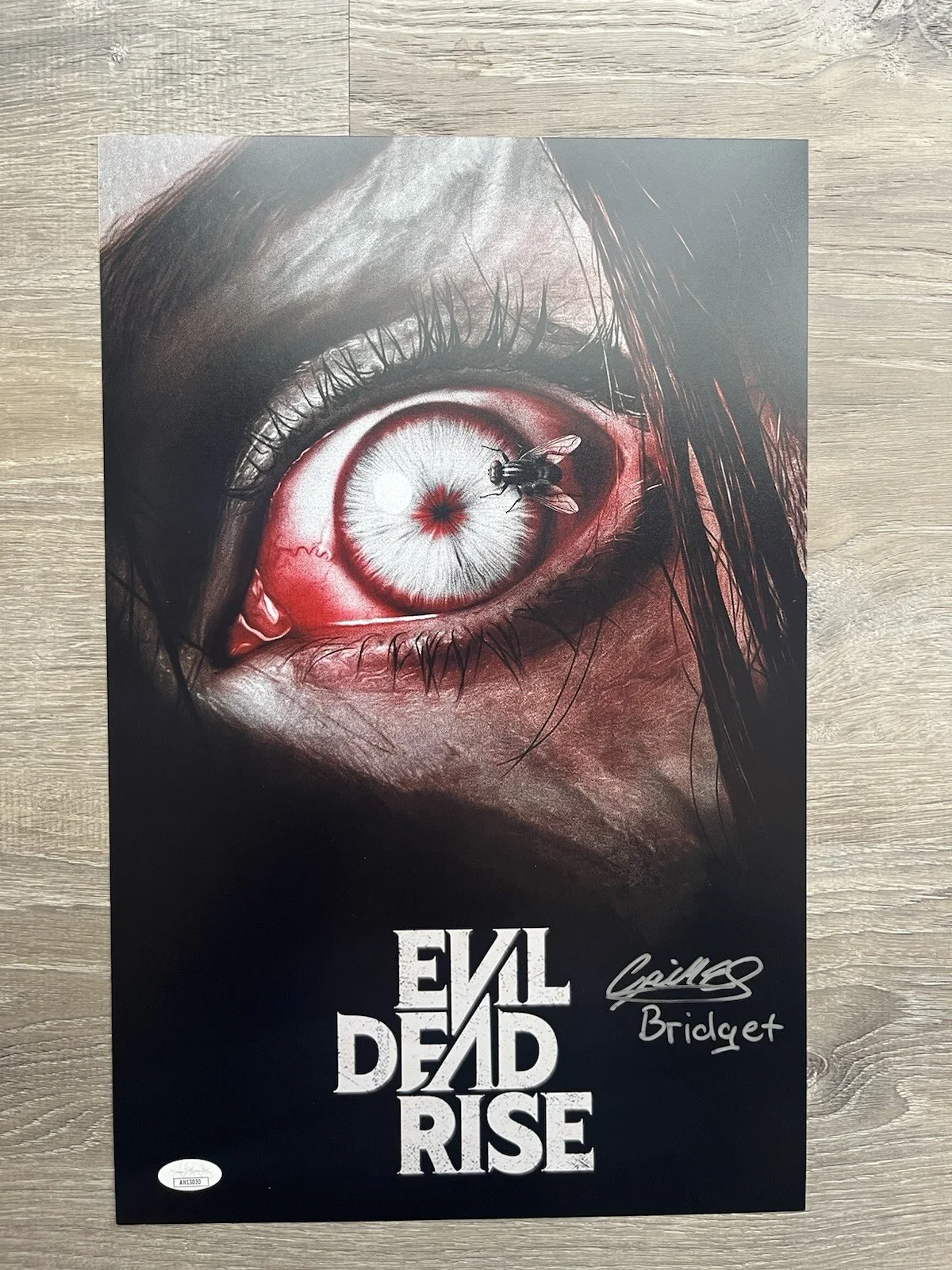 Gabrielle Echols — Gabrielle Echols Signed Evil Dead Rise 11x17 Photo JSA COA Horror Auto, image 2