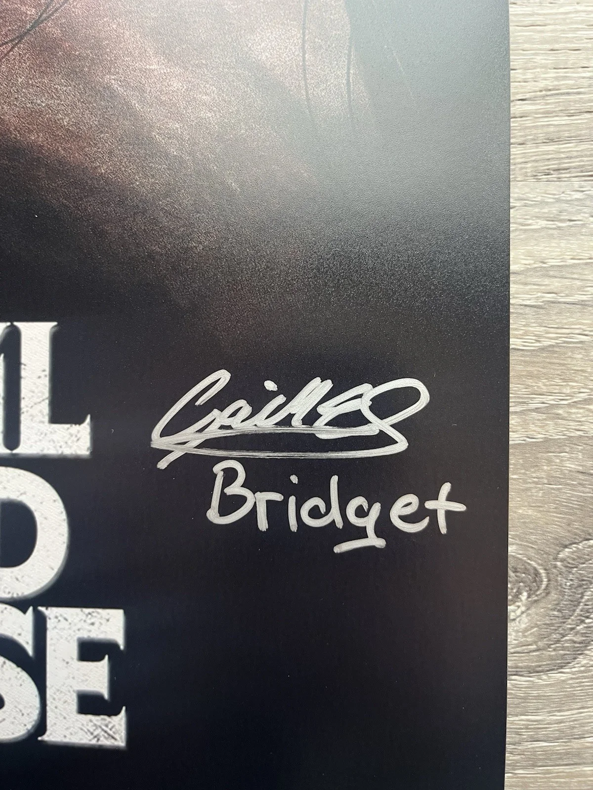 Gabrielle Echols — Gabrielle Echols Signed Evil Dead Rise 11x17 Photo JSA COA Horror Auto, image 4