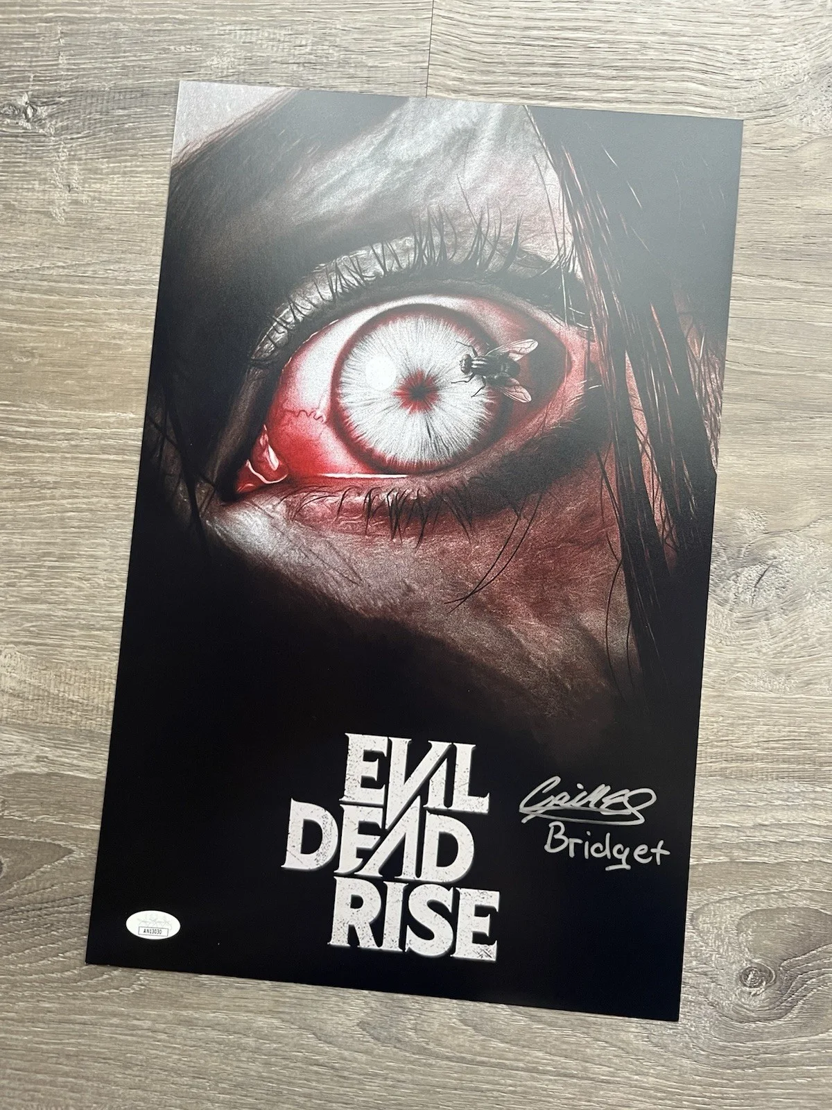 Gabrielle Echols — Gabrielle Echols Signed Evil Dead Rise 11x17 Photo JSA COA Horror Auto, image 5
