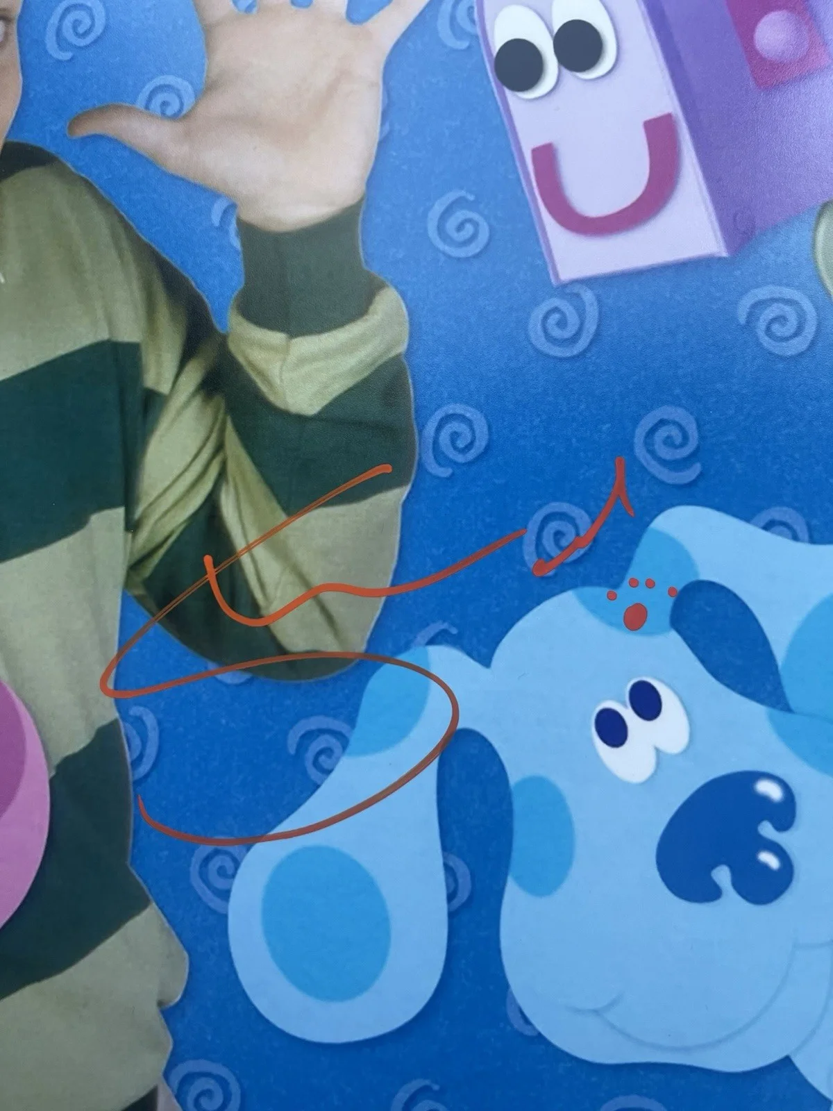 Steve Burns — Steve Burns Signed Blues Clues 11x14 Photo Beckett COA Nickelodeon, image 4