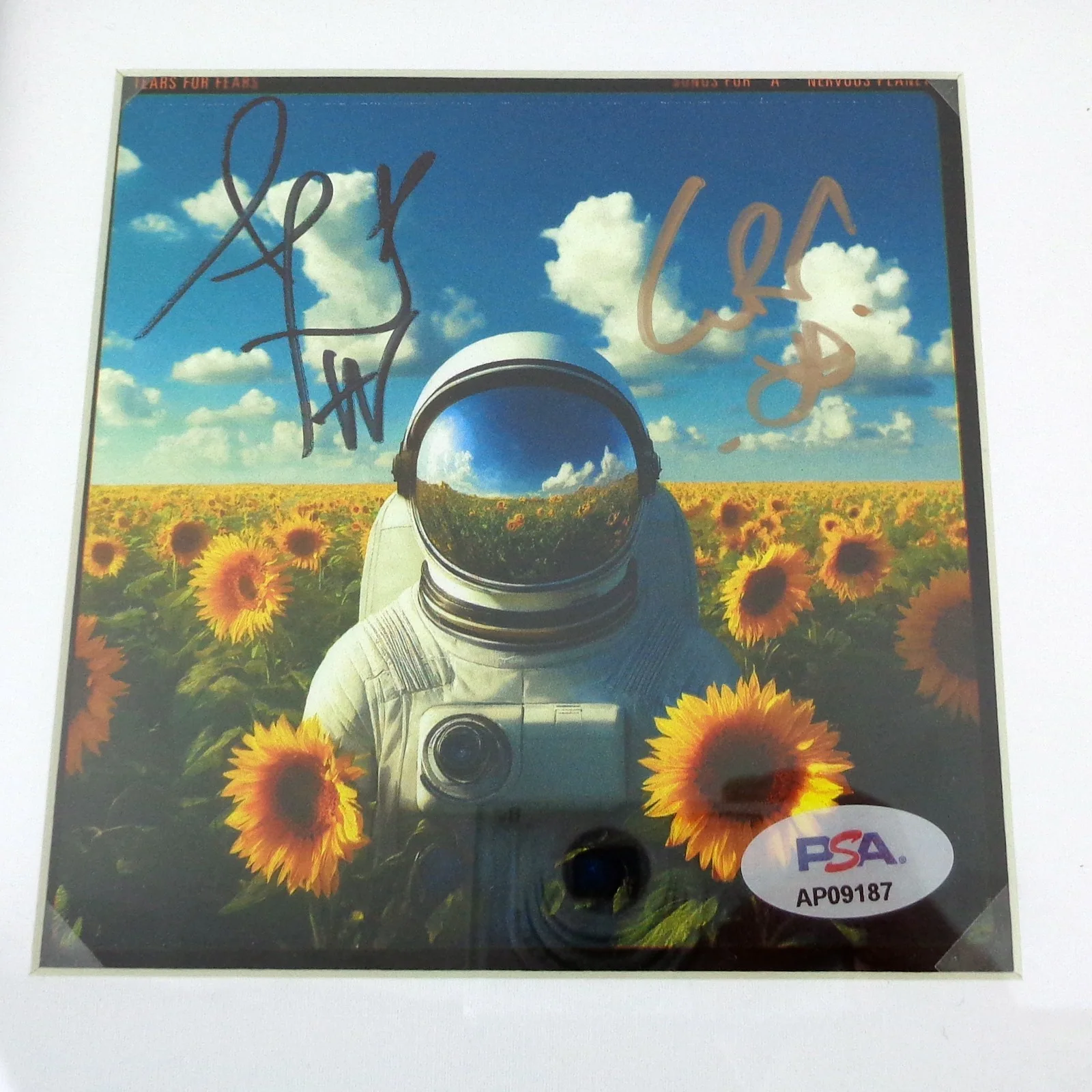 Tears For Fears Band Signed Songs For A Nervous Planet CD Framed PSA/DNA COA, изображение 2