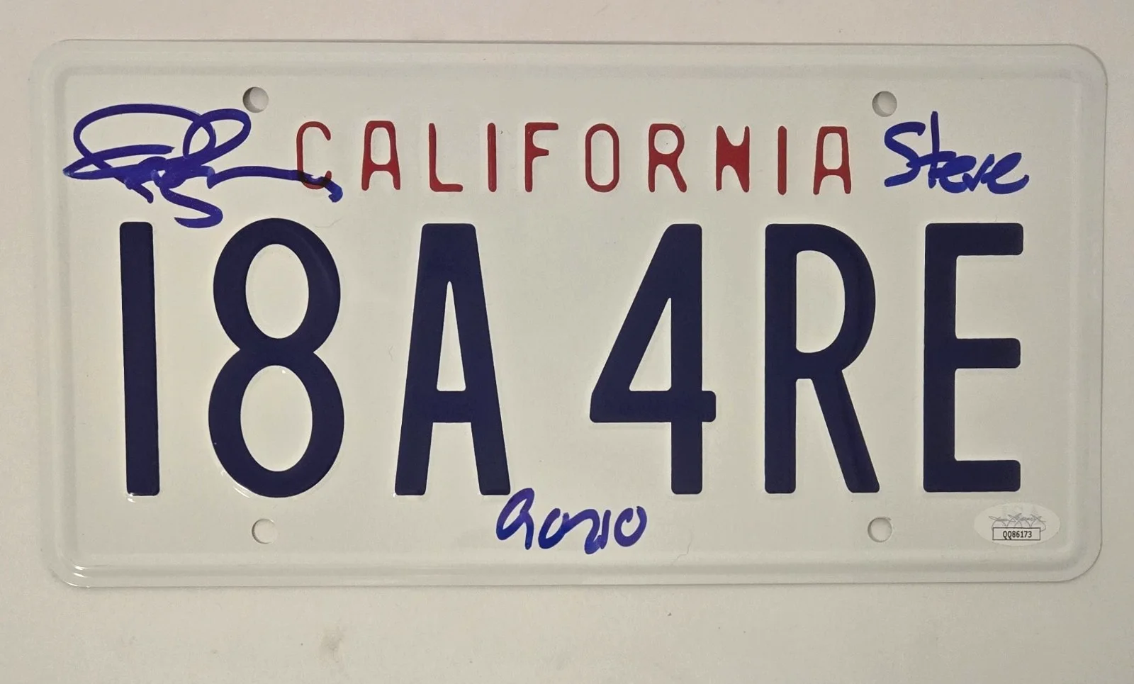 IAN ZIERING — Ian Ziering Signed Plate License 90210 Autograph Steve Sanders 11x14 JSA COA 173