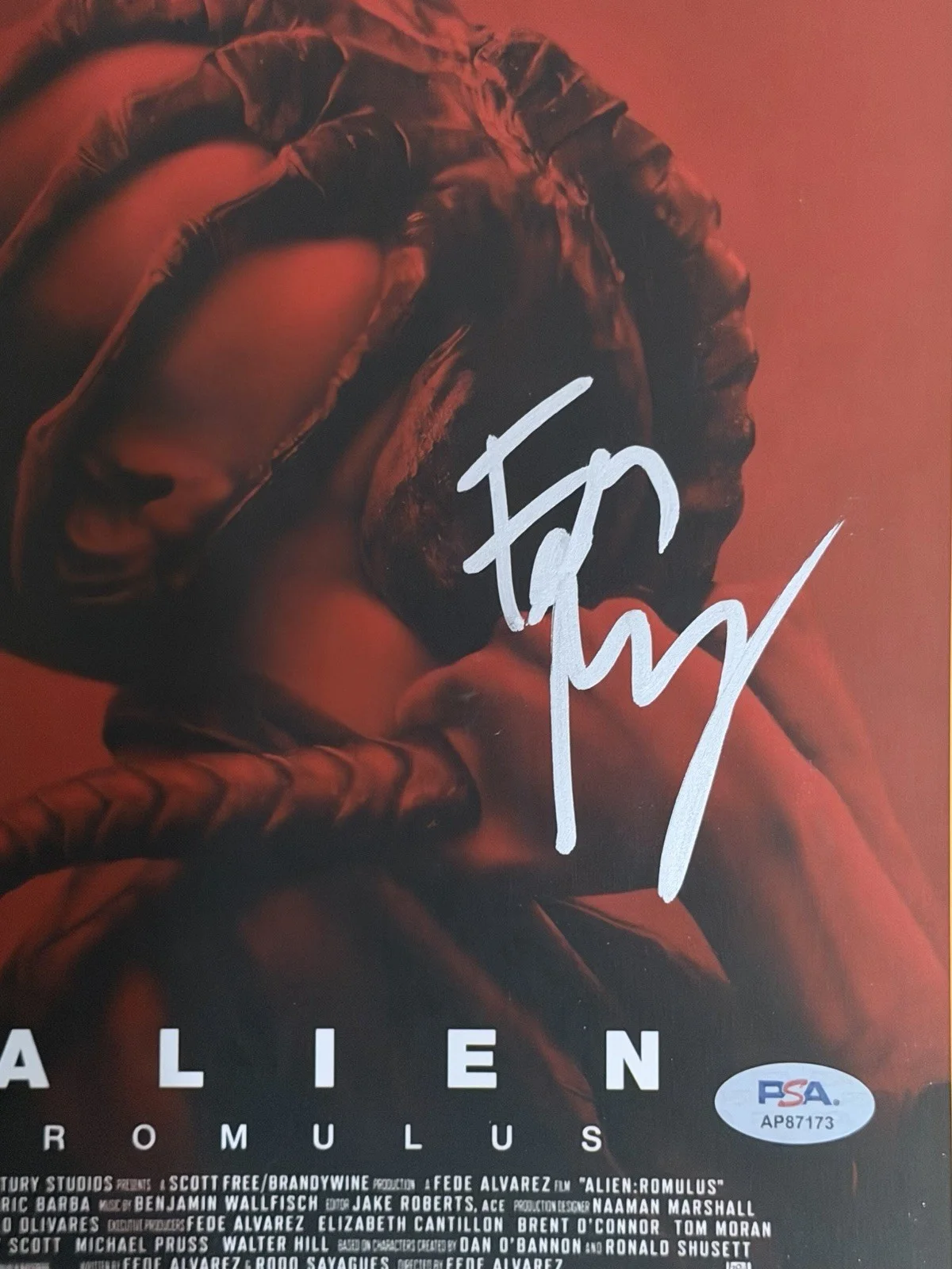 Fede Alvarez — FEDE ALVAREZ SIGNED AUTOGRAPH 8x10 ALIEN ROMULUS PHOTO PSA COA AP87173, image 2