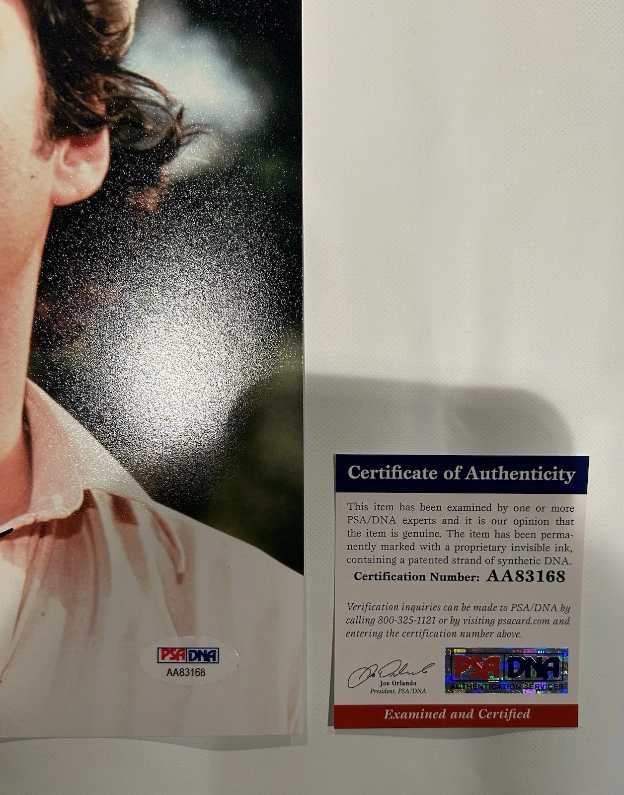 Chevy Chase — Chevy Chase Signed 8x10 Photo Caddyshack PSA DNA COA, image 4