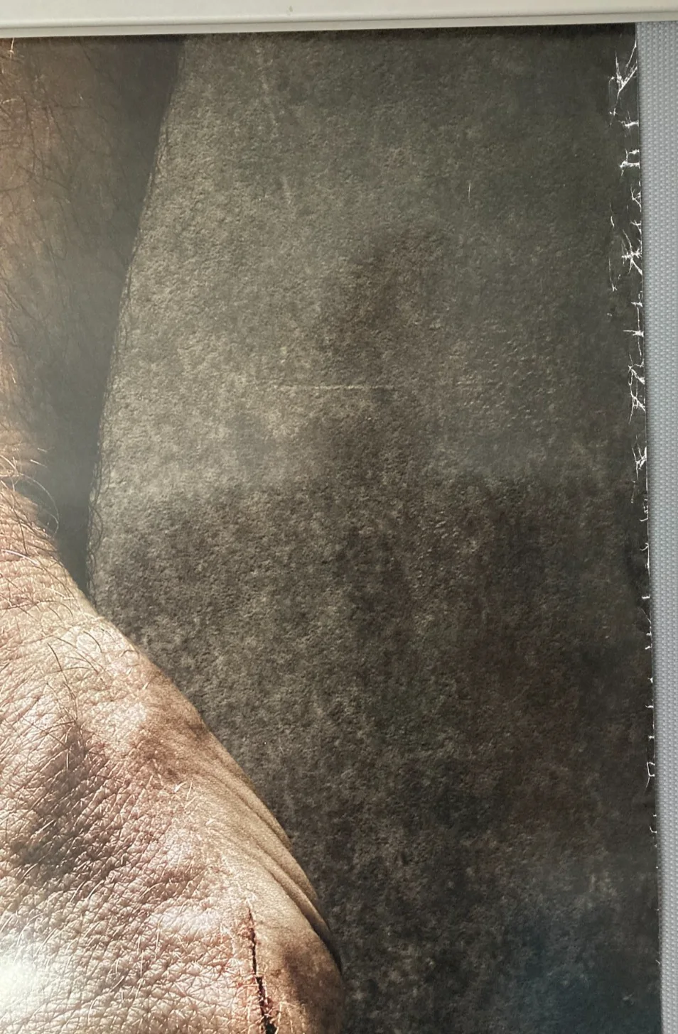 Cinema Poster: LOGAN 2017 (Advance One Sheet) Hugh Jackman Patrick Stewart, изображение 3
