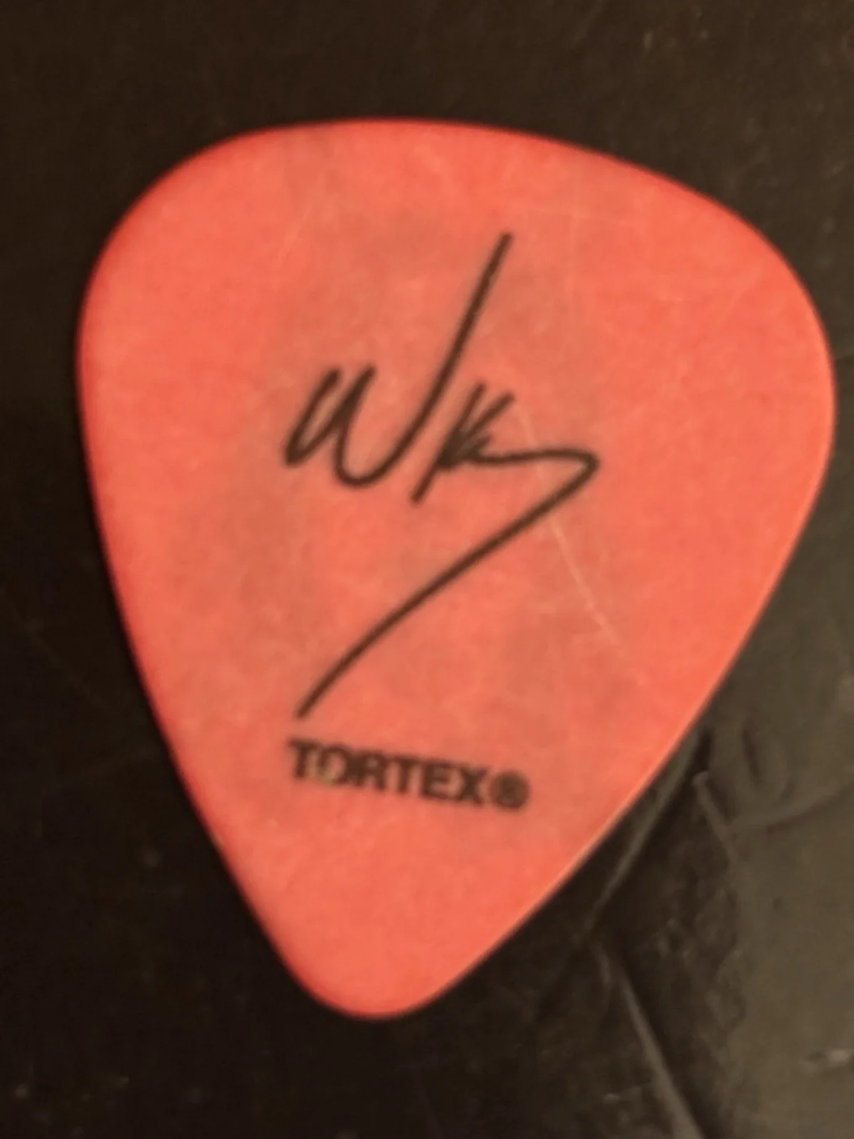 THE LUMINEERS Guitar Pick Gig Used, изображение 2